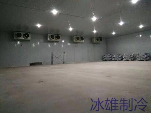 冷庫設(shè)備如何重要，改如何正確的維修呢？